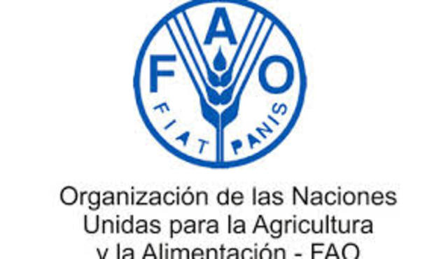 Organización de las Naciones Unidas para la Agricultura y la Alimentación