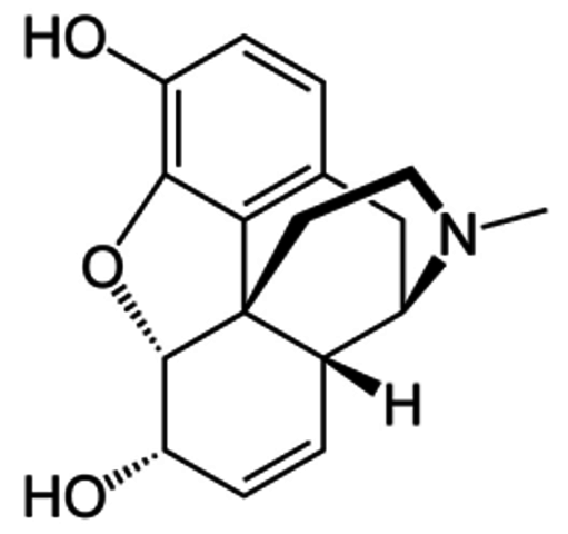 German pharmacist F.W.A. Serturner isolates morphine