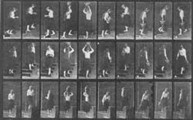 Faster Than the Eye Photography