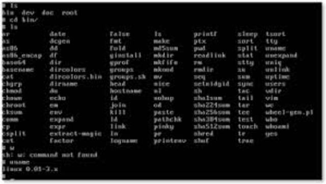 Linus crea la version 0.1de Linux