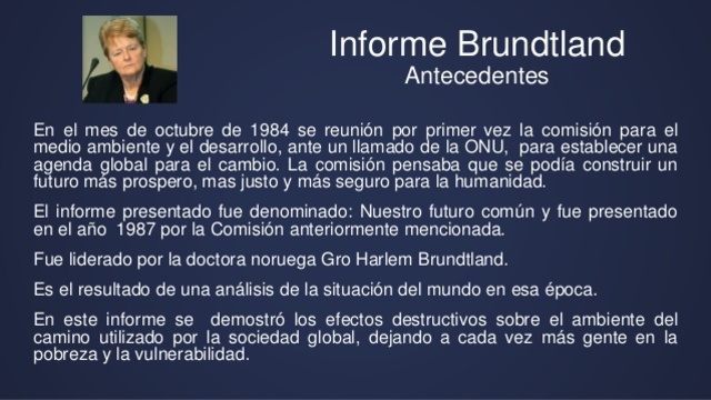 Informe "Nuestro Futuro Comun"