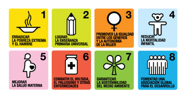 Metas del Desarrollo del Milenio