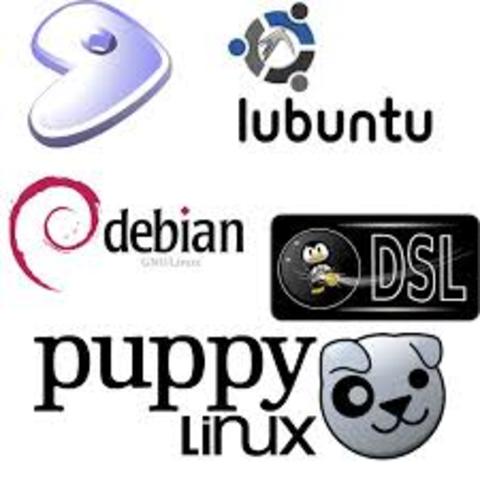 Se mantiene en el mercado ahora como Linux Mint  y otras distribuciones.