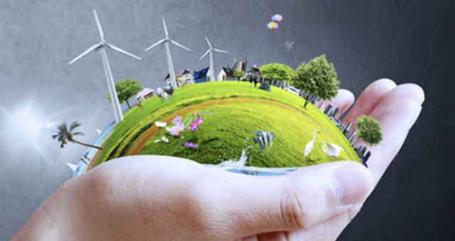 BRADNT REPORT. Programa para la sobrevivencia y crisis común.