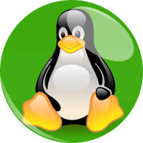 El pinguino es mascota de linux