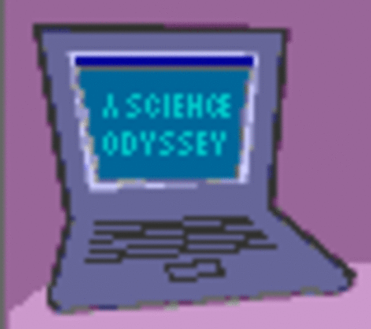 World Wide Web takes off.