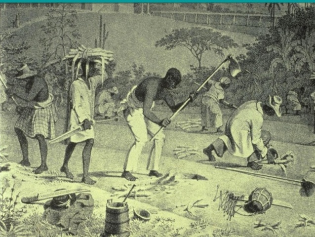 Slave Population - HR