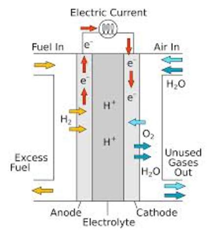 First Hydrogen Fuel Cell