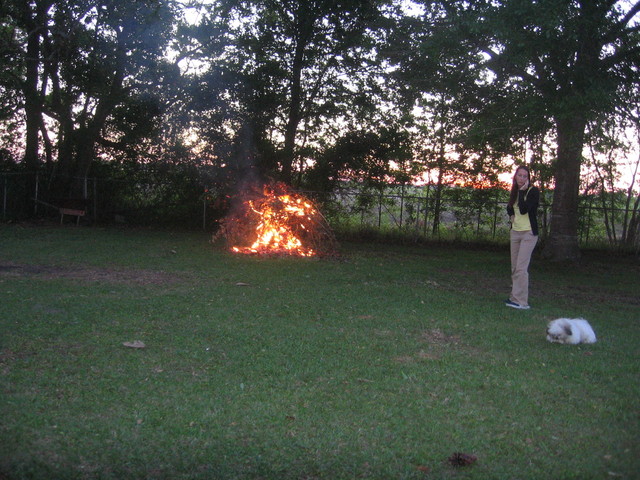 Day 2 Backyard Bonfire