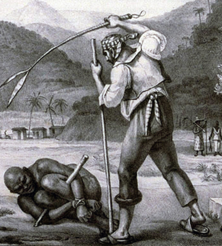 5 intrest groups in hati