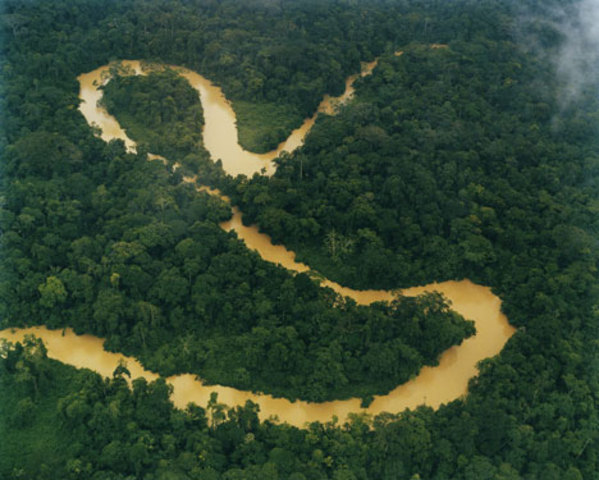 deforestation in Brazil
