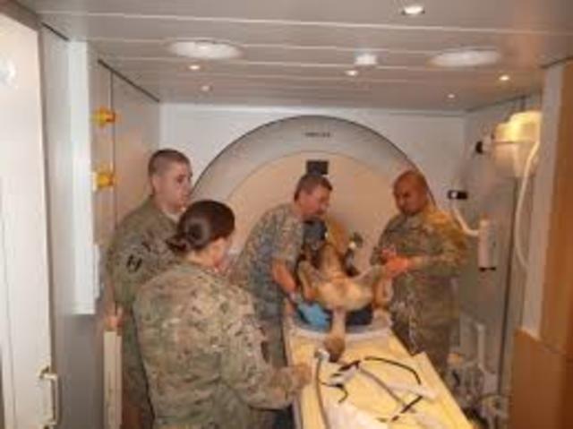 First MRI for pets