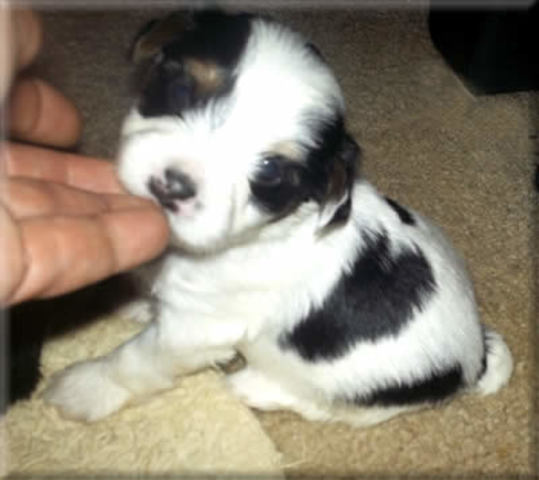 My alarm woke  me up at 7:30 for school