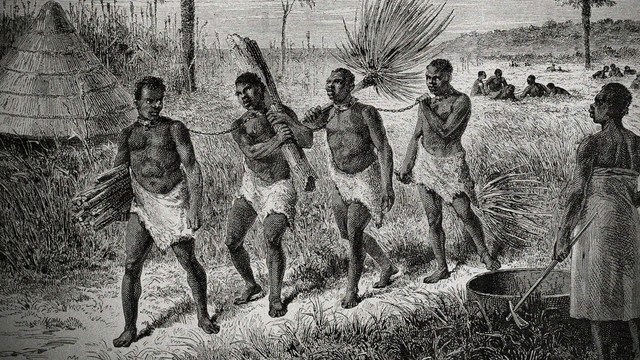 Slaves in Haiti