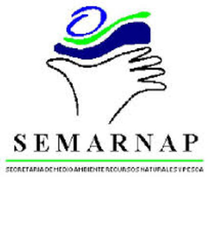 se crea la Secretaría de Medio Ambiente, Recursos Naturales y Pesca (SEMARNAP)