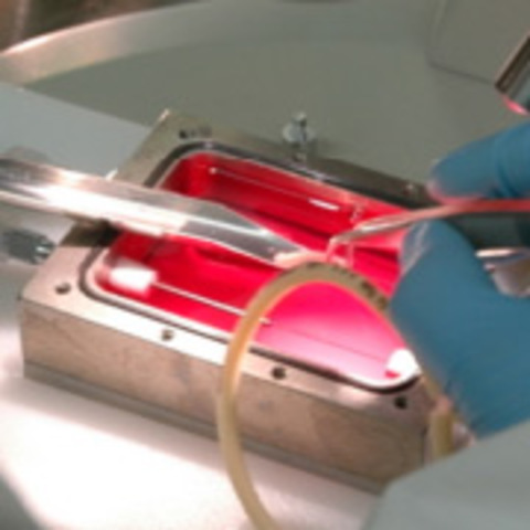 Биологический 3D-принтер