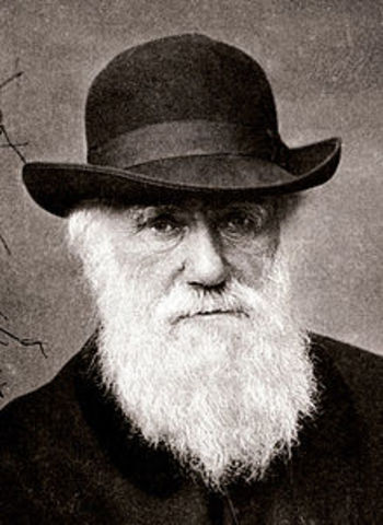 DARWINISMO(DARWIN)