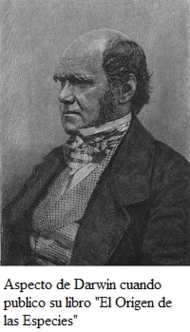 Teoría de Darwin, el Origen de las Especies