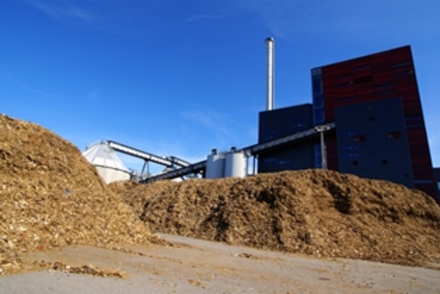First Biomass power plant