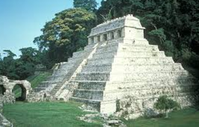 Esplendor de palenque