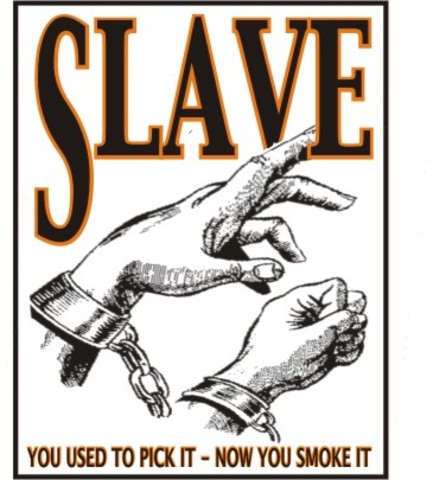 First Slave