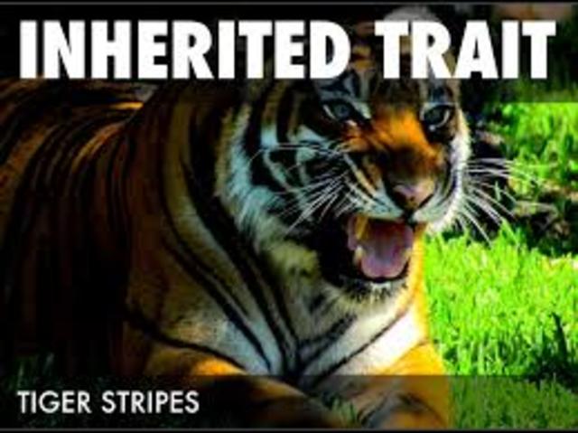 inheritable traits