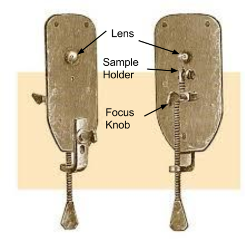 Anton van Leeuwenhoek