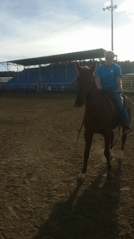 I got my third horse; Cuss