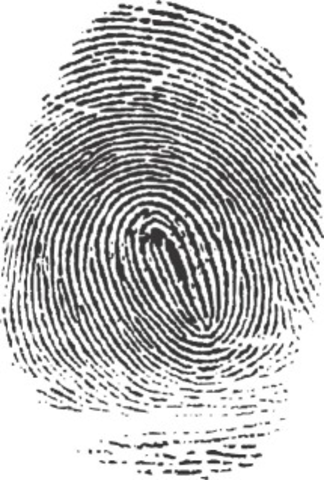 Duties of a Forensic Scientist