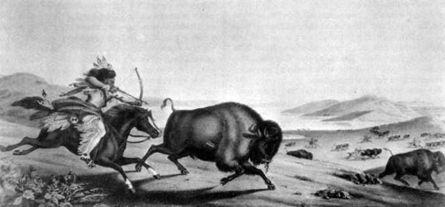 Metis Hunting Rights