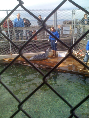 Visit to Seattle Aquarium