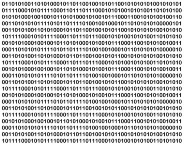 High Level Programming Language