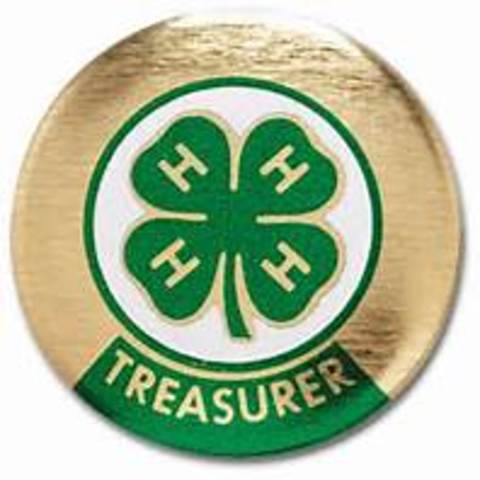 4H counsil tresurer