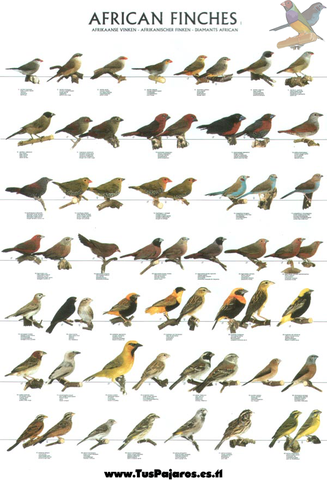 Convención para la preservación de los animales silvestres,pájaros y peces del África