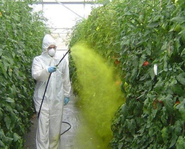 Convenciòn internacional de protecciòn fitosanitaria