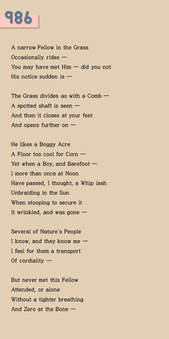 "A narrow Fellow in the Grass"