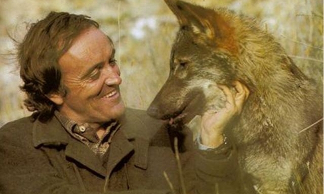 Sintonías clásicas