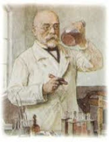 Robert koch