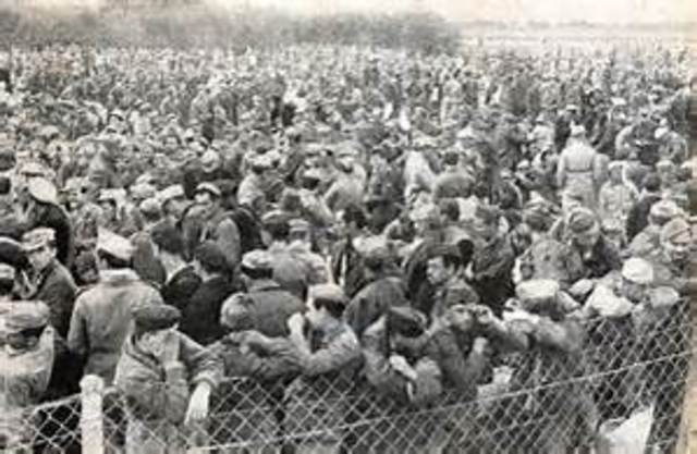 Germans surrender in Tunisia