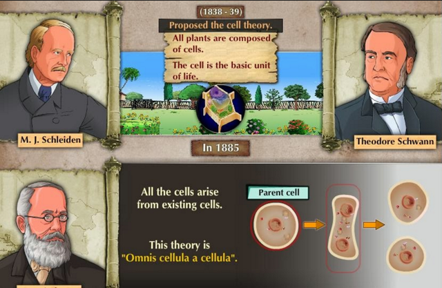 Schwann y Schleidan: TEORÍA CELULAR