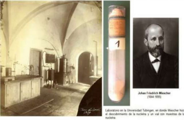 Friedrich Miescher: DESCUBRE EL DNA