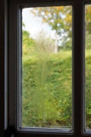 Double sealed window unit