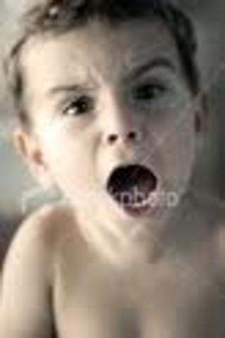 6.1- Self Conscious Emotions.