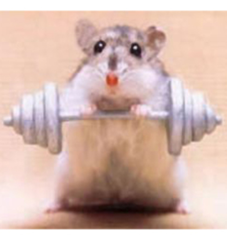 when im in weight traning