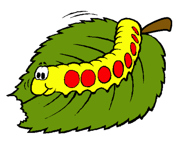 Larva