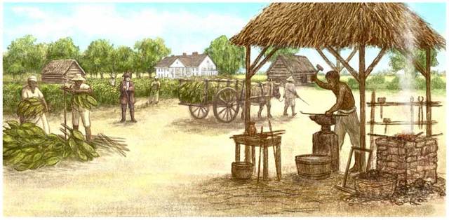 Des colonies en croissance