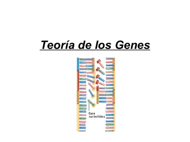 TEORIA DE LOS GENES