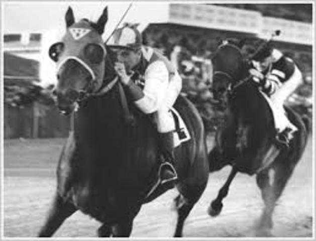 Winner takes all match is set up between two famous race horses