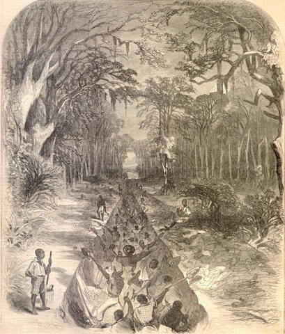 Camp of Confusion again