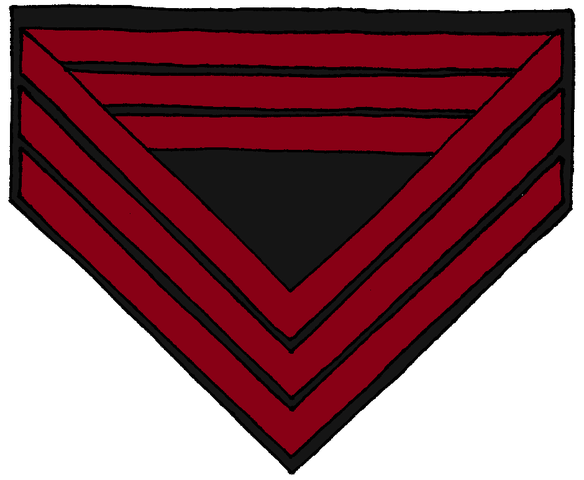 Appointed to a Quartermaster Sergeant